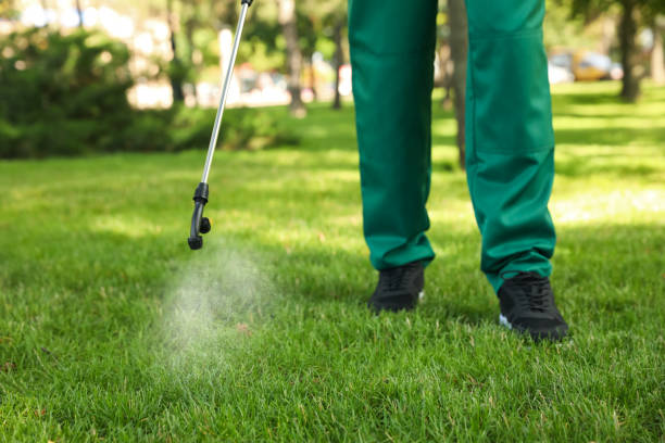 Best Mosquito Control Services  in Norco, CA