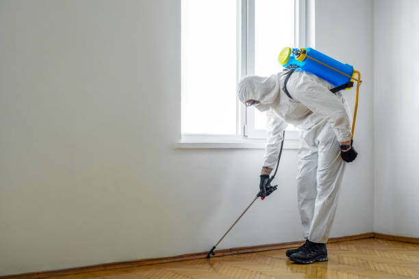 Reliable Norco, CA Pest Control Solutions