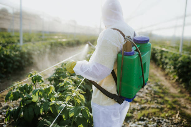 Best Mosquito Control Services  in Norco, CA